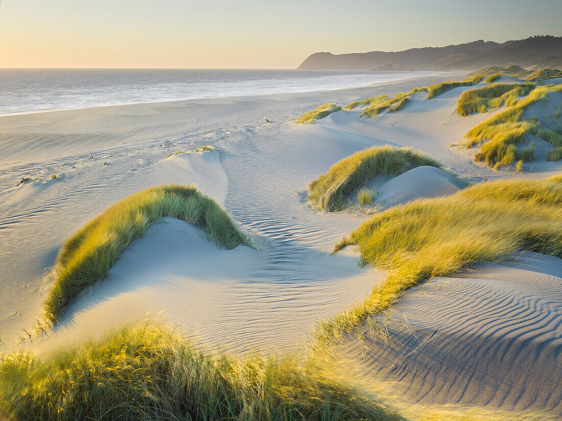 Sanddünen im Pistol River State Park, Oregon, USA