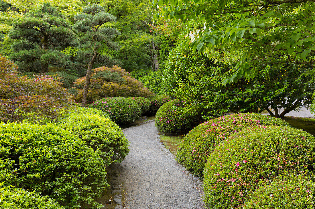 Japanischer Garten, Portland, Oregon, USA