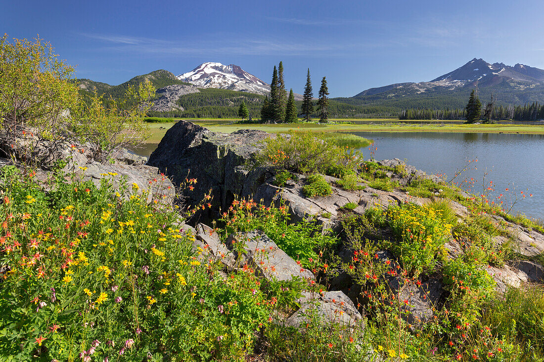 South Sister, Broken Top, Blumen, Sparks Lake, Cascades, Oregon, USA