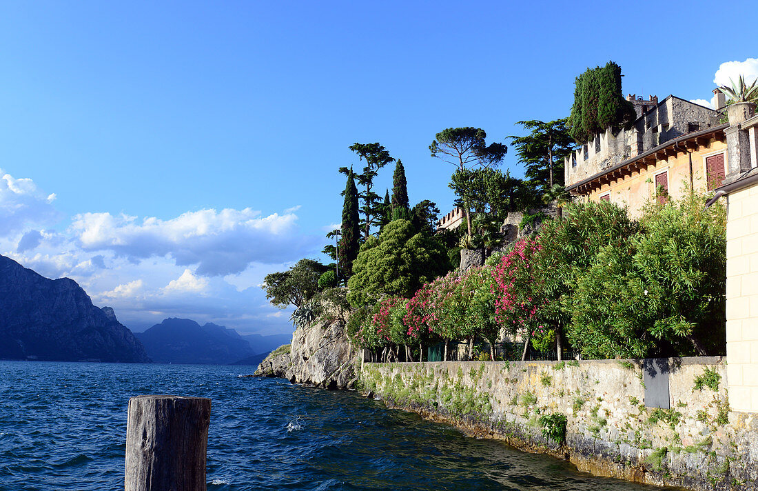 under the castle , Malcesine, eastern shore, lake Garda, Veneto, Italy