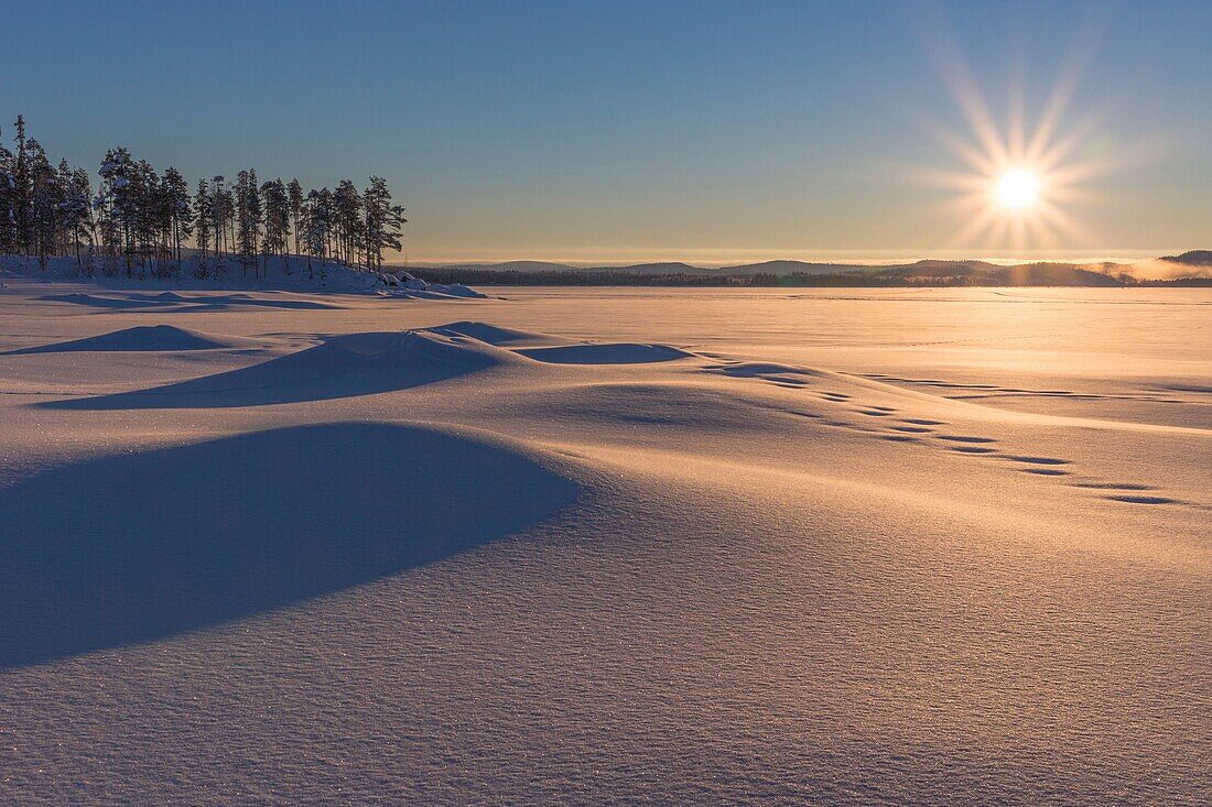 Winterlandscape with plenty of snow and snow on the trees and the sun shining into camera, Gällivare sweden.