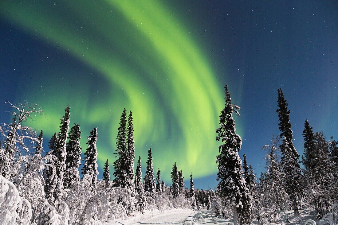 Northern light, Aurora borealis and moonlight over winter forest and winter road, Gällivare, Sweden, Swedish lapland.