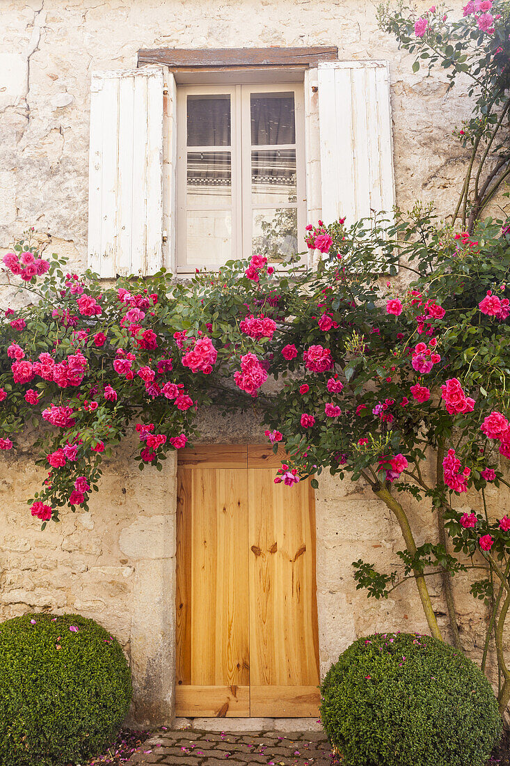 Roses cover a house in the village of Chedigny, France. The village holds a rose festival every May.