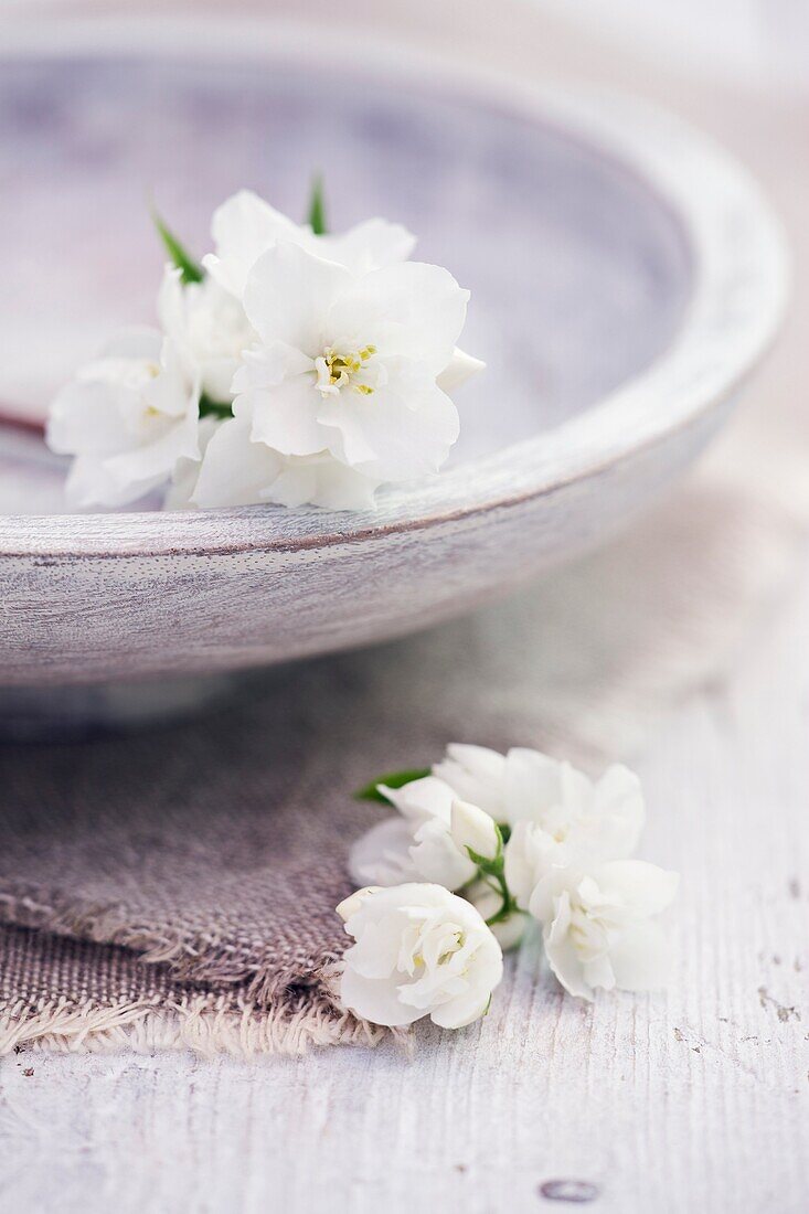 Philadelphus flowers with wooden bowl