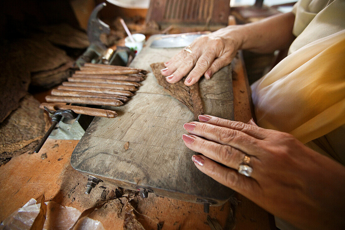 Close-Up photo of a woman preparing a cuban cigar in Casa de la Cultura, Trinidad, Sancti Spíritus Province, Cuba, West Antilles, Central America.
