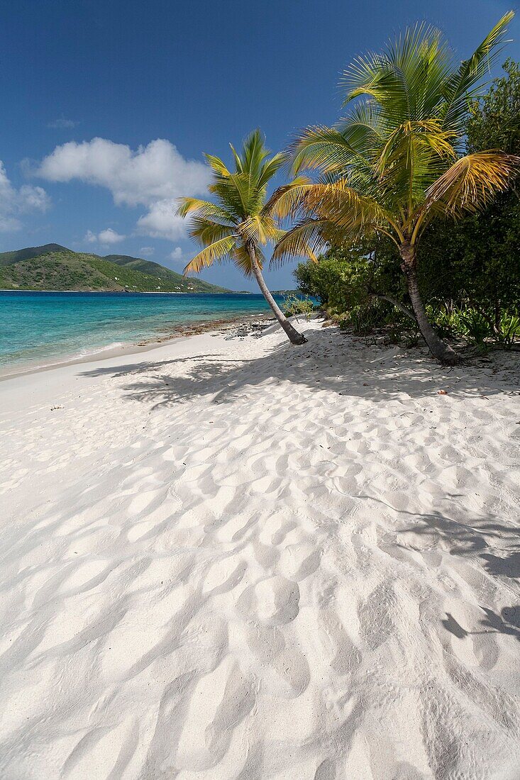 Sandy Island, British Virgin Islands, Caribbean.