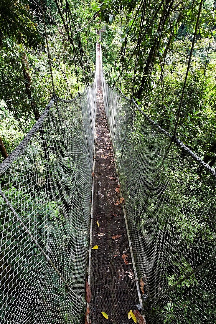 Suspension Bridge, Rainmaker Conservation Project, Costa Rica.
