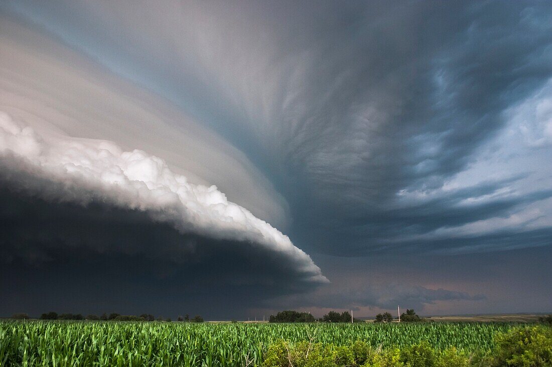 Slow moving tornadic supercell speeds up and gusts out as a fast moving shelf cloud July 12, 2004 near Bartlett Nebraska.