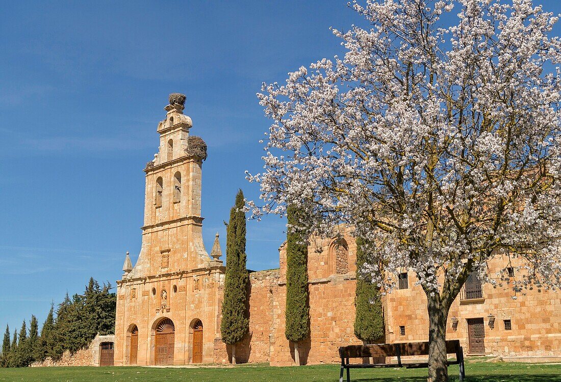 Antiguo convento de San Francisco, Ayllón. Conjunto histórico artístico. Segovia province. Castile-Leon. Spain.