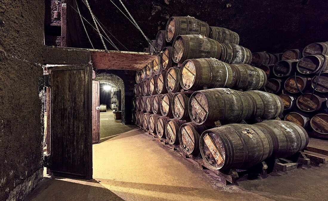 '''''El calado'''' cellar at R. Lopez de Heredia Viña Tondonia winery. Haro. La Rioja. Spain.'''