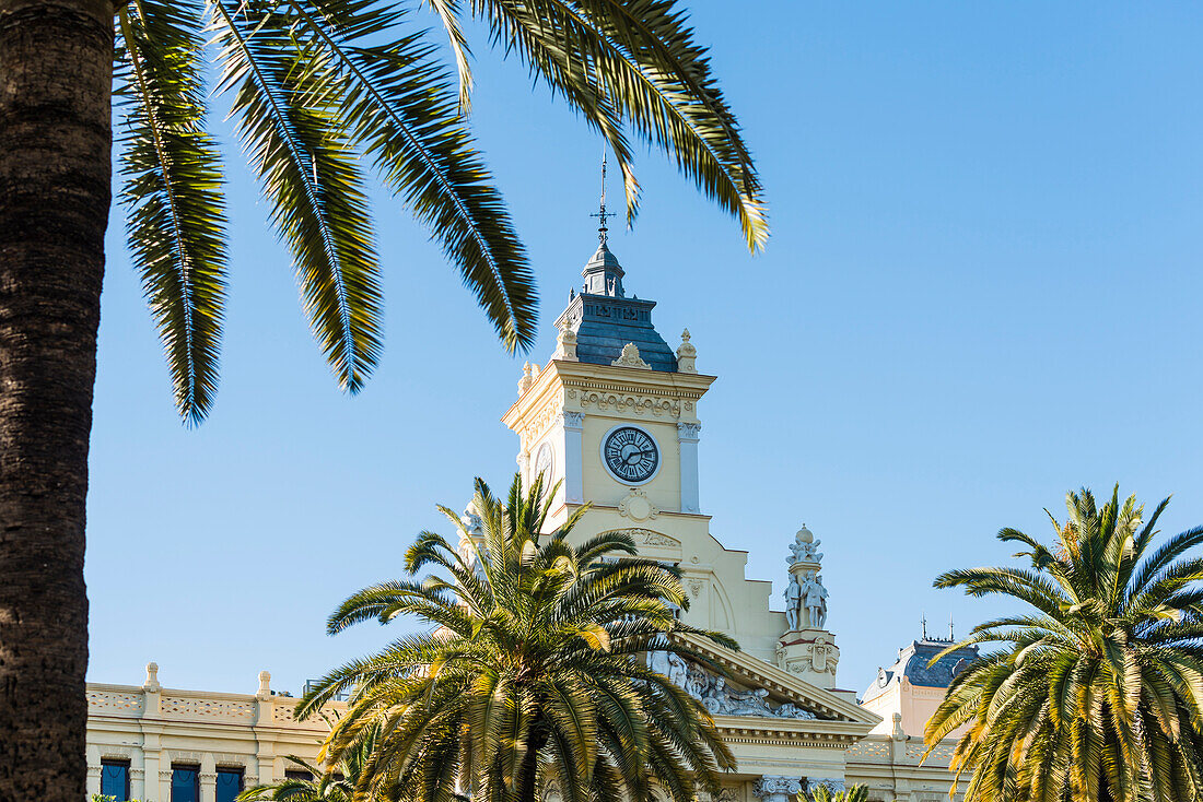Rathaus, Ayuntamiento de Málaga, eingerahmt von Palmen, Malaga, Andalusien, Spanien