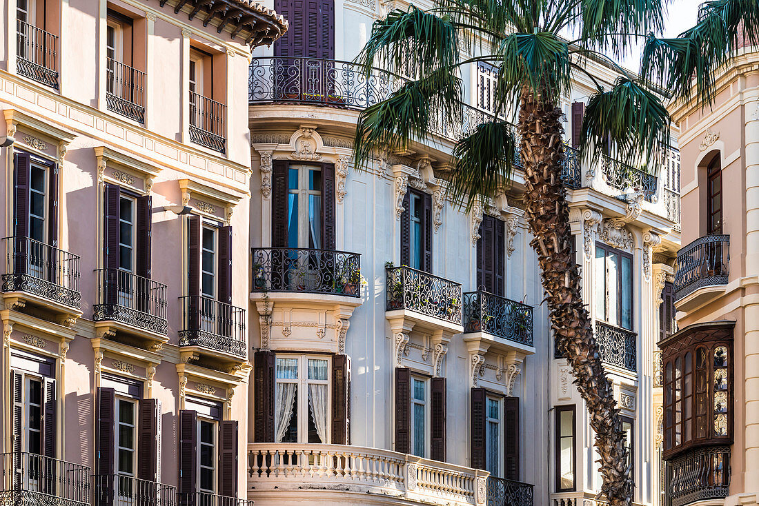 Front of old buildings at the Plaza de la Constitution with a palm tree, Malaga, Andalusia, Spain