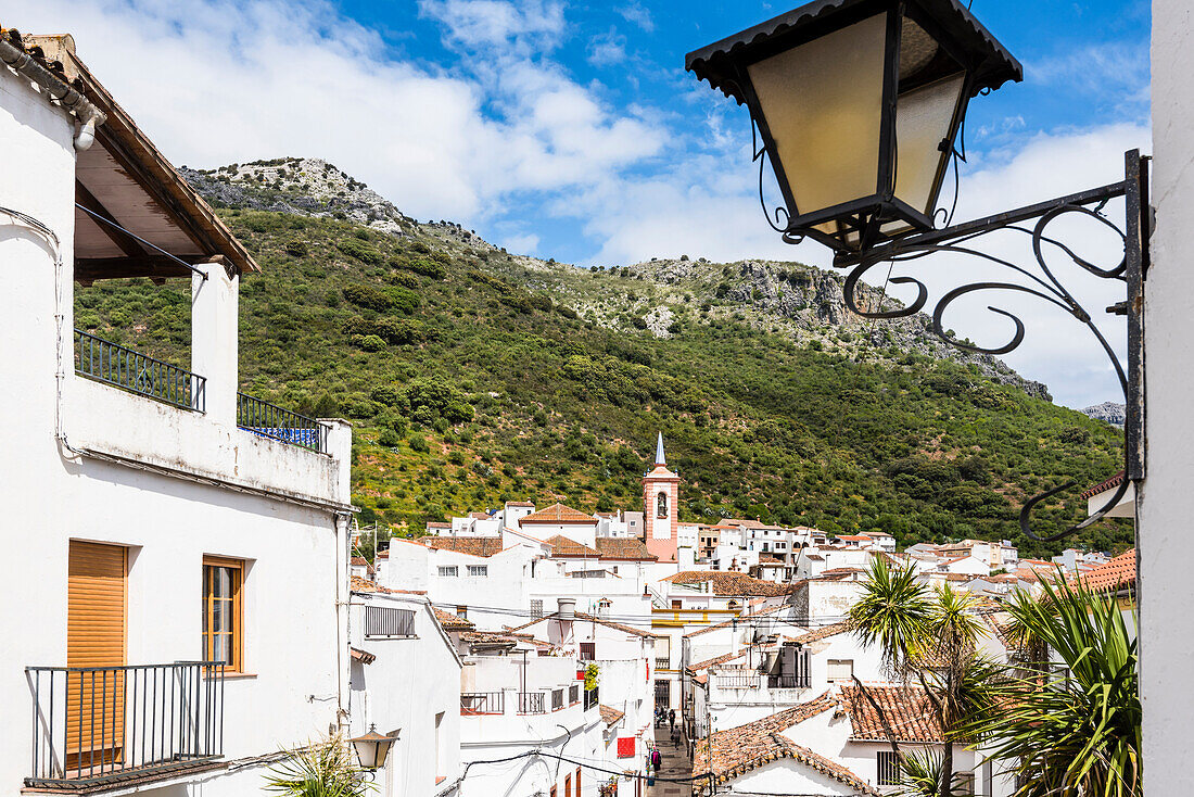 View to a mountain village, Cortes de la Frontera, Parque Natural Sierra de Grazalema, Andalusia, Spain