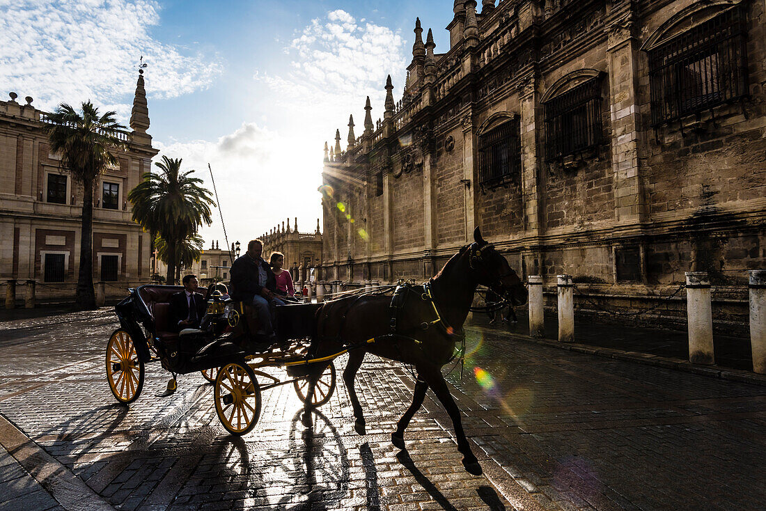 Horse and carriage in back light in front of the cathedral in the historical centre, Seville, Andalusia, province Seville, Spain
