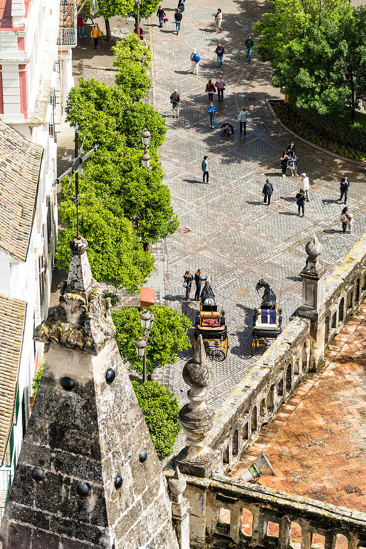 View from the bellstower of the cathedral in the historical centre, Seville, Andalusia, province Seville, Spain