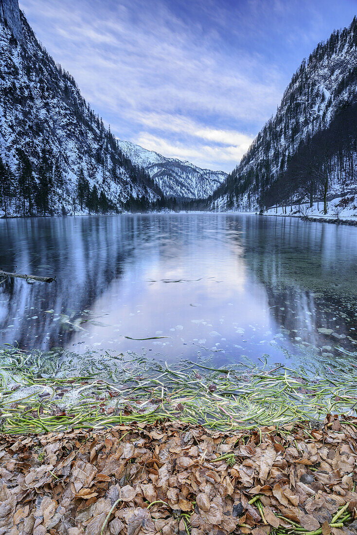Lake Foerchensee in winter, Ruhpoldinger Seenplatte, Chiemgau Alps, Chiemgau, Upper Bavaria, Bavaria, Germany