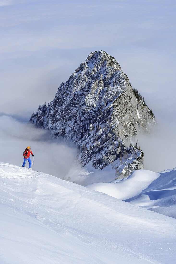 Frau auf Skitour steigt zur Hochalm auf, Stanglahnerkopf und Nebelmeer im Hintergrund, Hochalm, Hochkalter, Nationalpark Berchtesgaden, Berchtesgadener Alpen, Berchtesgaden, Oberbayern, Bayern, Deutschland