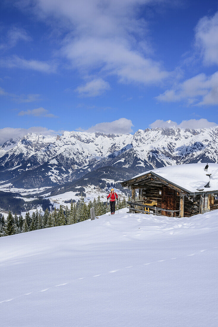 Frau auf Skitour steigt an Alm vorbei zum Hochkasern auf, Berchtesgadener Alpen im Hintergrund, Hochkasern, Salzburger Schieferalpen, Dientner Schieferberge, Salzburg, Österreich