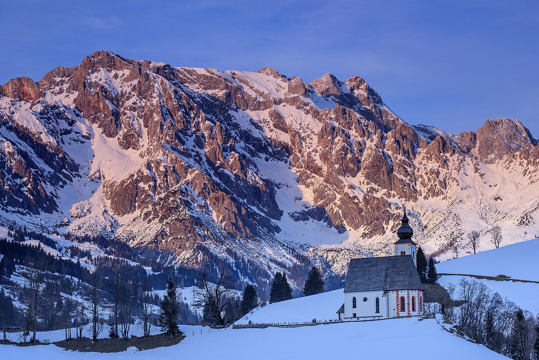 Church of Dienten standing in front of Hochkoenig range in alpenglow, Dienten, Berchtesgaden Alps, Salzburg, Austria