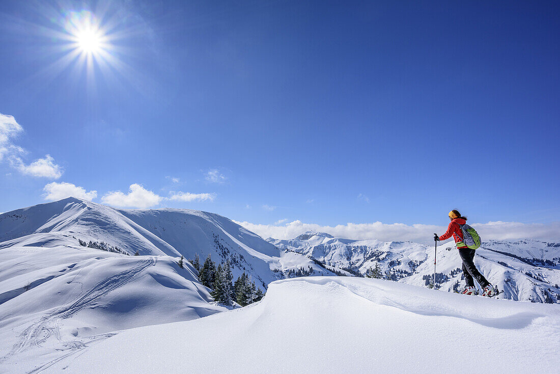 Frau auf Skitour steigt zum Hochkasern auf, Hundstein im Hintergrund, Hochkasern, Salzburger Schieferalpen, Dientner Schieferberge, Salzburg, Österreich