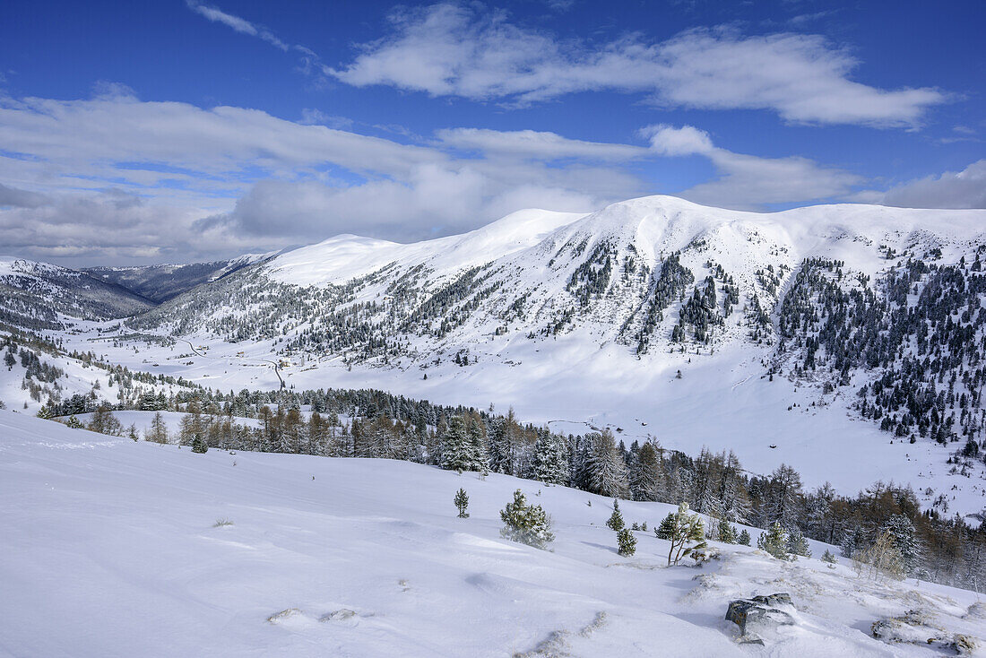 View towards Schilchernock and Ochsenriegel, from Koenigstuhl, Koenigstuhl, Nock Mountains, Biosphaerenpark Nockberge, Carinthia, Austria