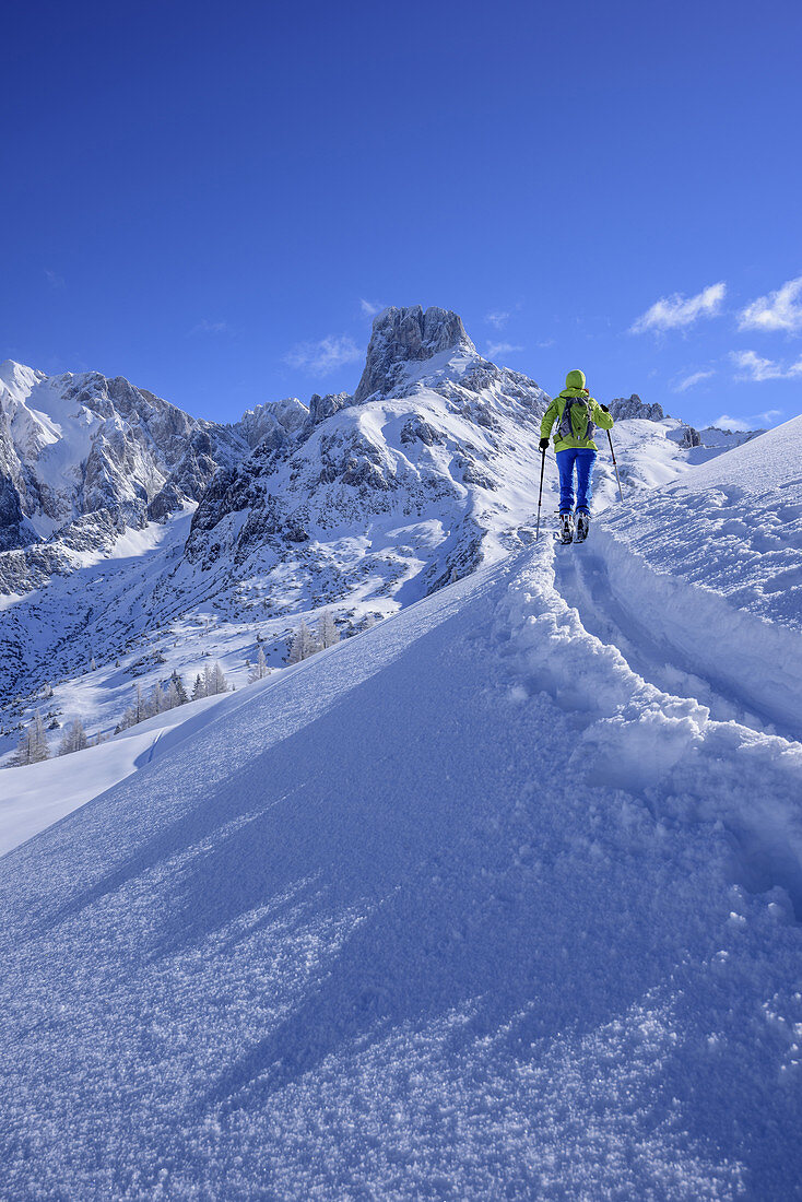 Woman back-country skiing ascending to Kampl, Bischofsmuetze in background, Kampl, Gosau range, Dachstein, Salzburg, Austria