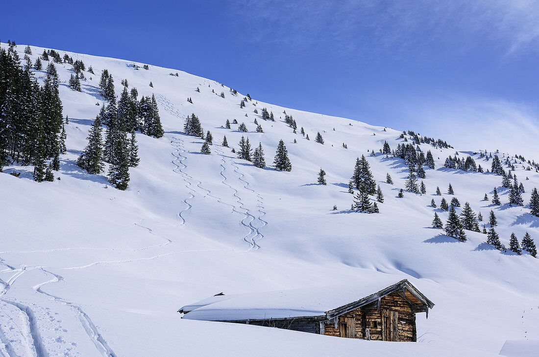 Snow-covered alpine hut with skitracks, Grosser Schuetz, Grosser Schuetzkogel, Kitzbuehel Alps, Tyrol, Austria