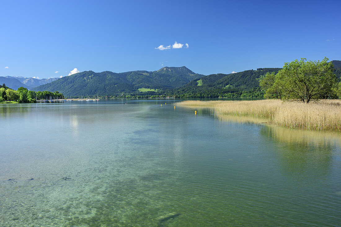Lake Tegernsee with view to Hirschberg, lake Tegernsee, Bavarian Alps, Upper Bavaria, Bavaria, Germany