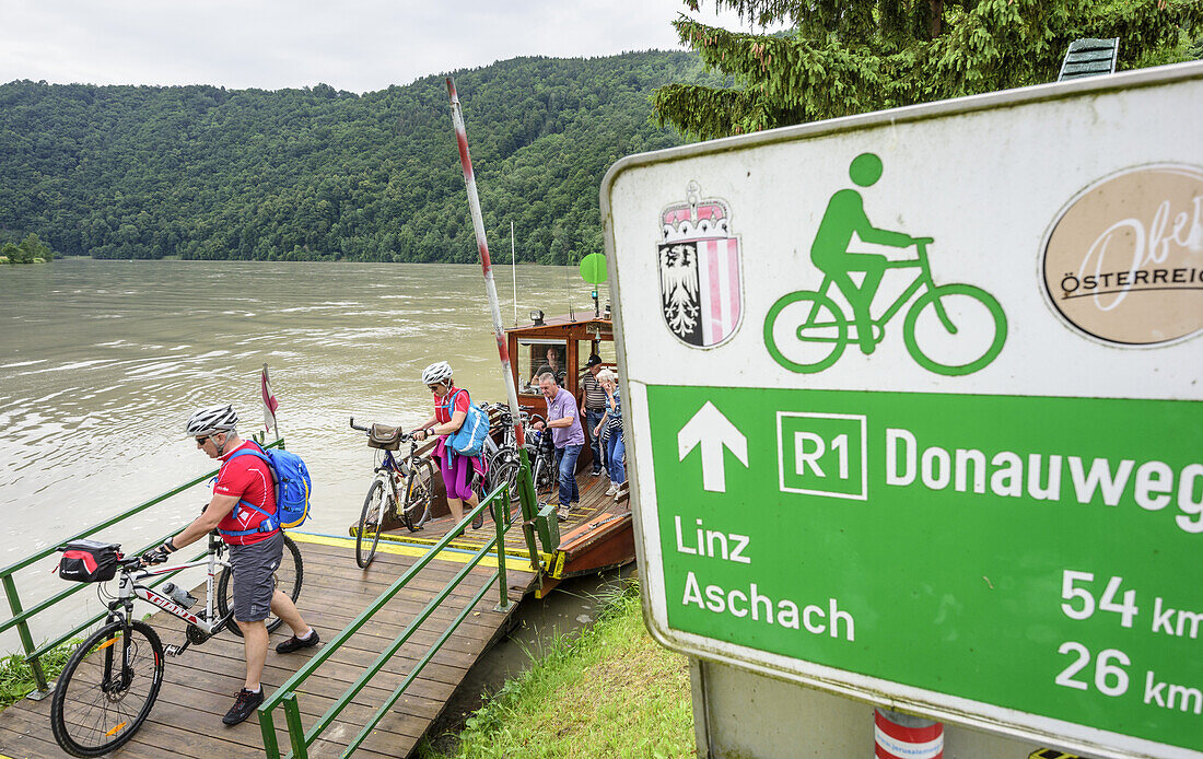 Several persons on biketour leaving ferry, signpost Danube Bike Trail in foreground, Schloegen, Danube, Danube Bike Trail, Upper Austria, Austria