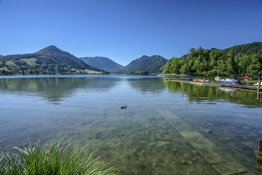 Schliersee mit Mangfallgebirge im Hintergrund, Schliersee, Bayerische Alpen, Oberbayern, Bayern, Deutschland