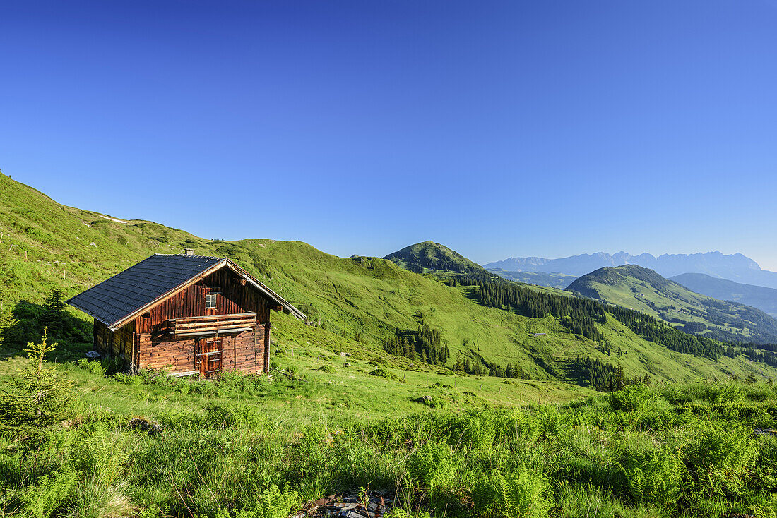 Alpine hut with Kaiser range in background, Brechhorn, Kitzbuehel Alps, Tyrol, Austria