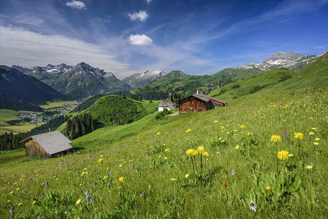 Meadow with flowers with alpine huts and chapel, Lechtal Alps, Lech and Lechquellen Alps in background, Buerstegg, Lechquellen Alps, Vorarlberg, Austria
