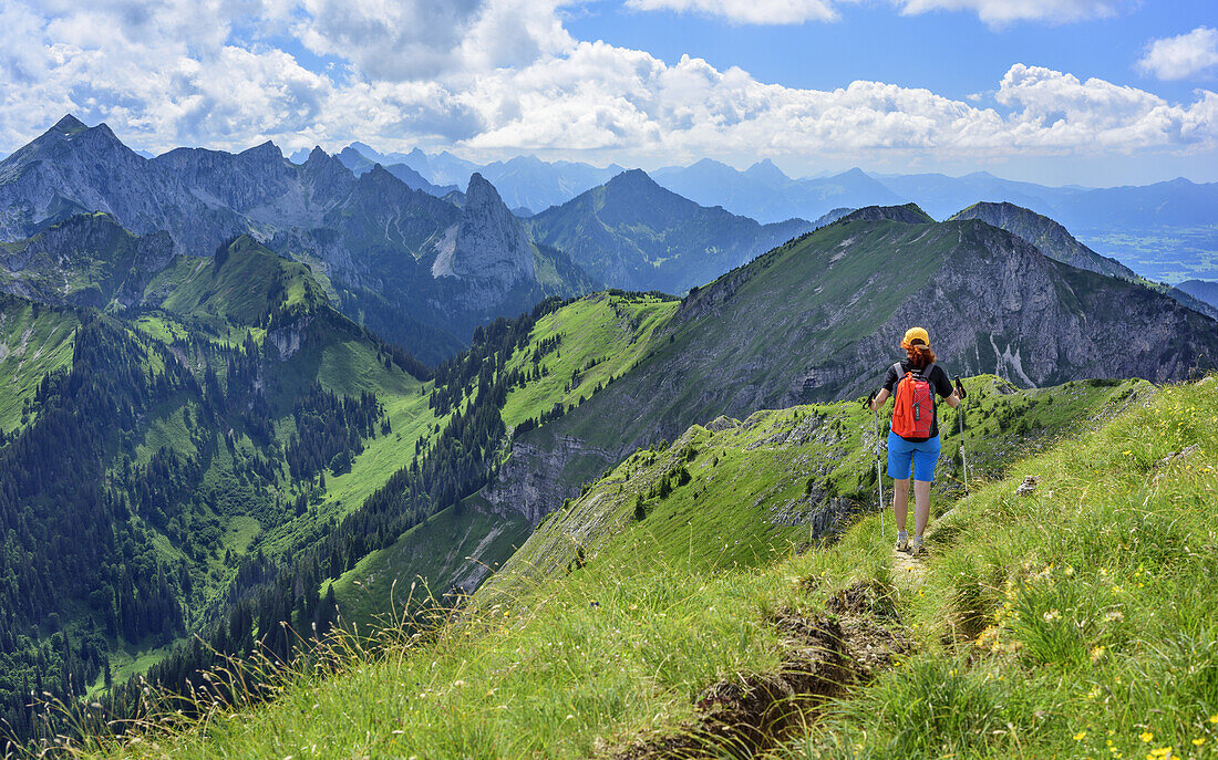 Woman hiking, Ammergauer Hochplatte, Geiselstein, Tegelberg and Feigenkopf in background, Klammspitze, Ammergau Alps, East Allgaeu, Allgaeu, Swabia, Bavaria, Germany