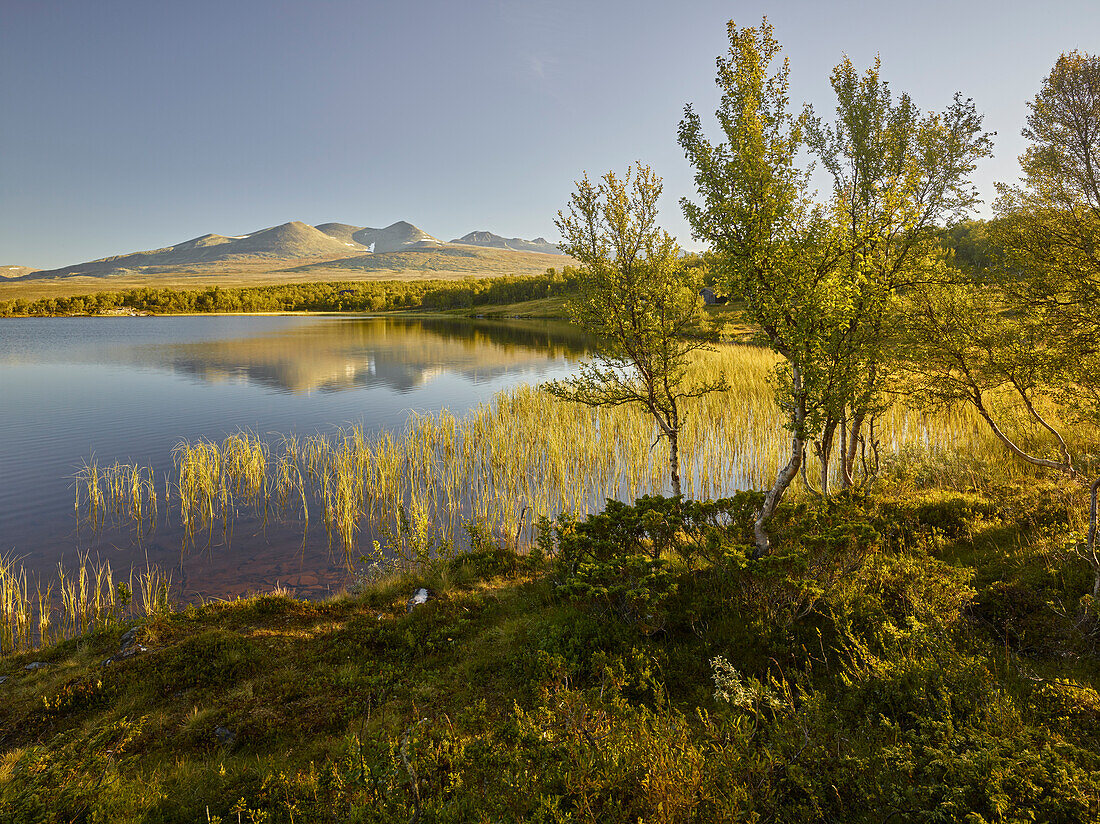 Mysusaeter, See Bergetjönne, Rondane Nationalpark, Oppland, Norwegen