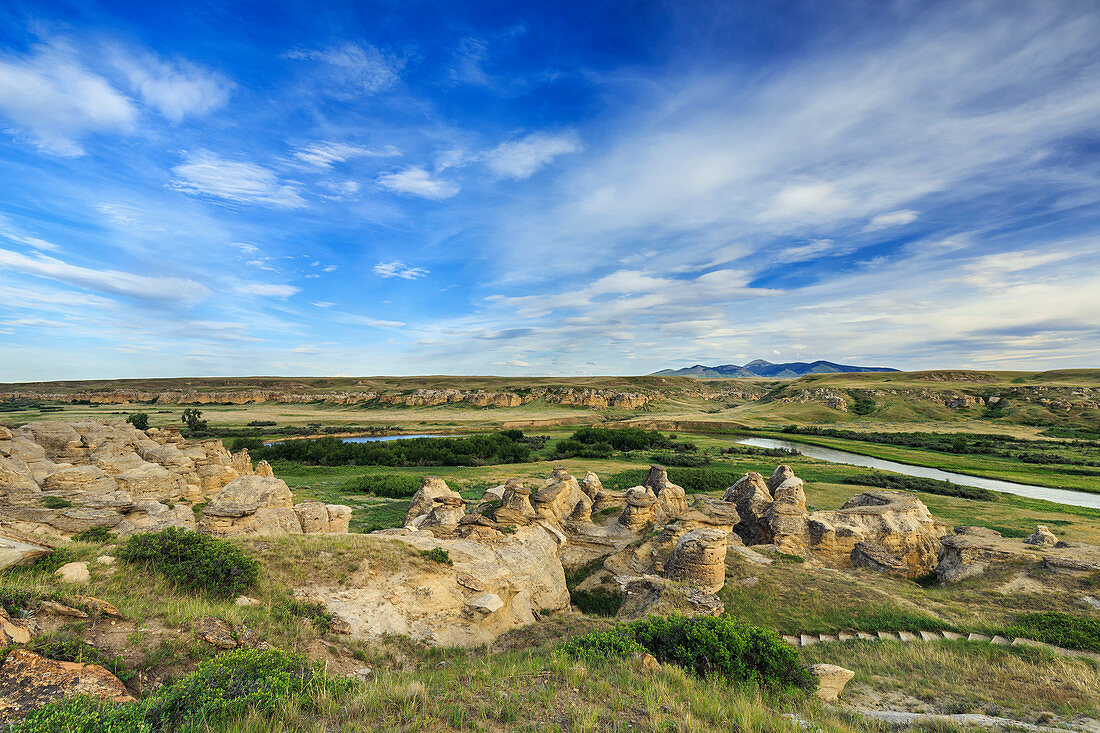 'Hoodoos in the Badlands of the Milk River Valley, Writing-on-Stone Provincial Park; Alberta, Canada'