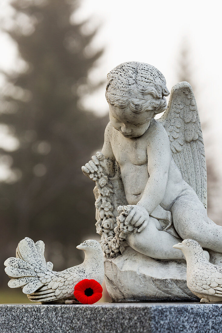 'Marble child angel statue with doves and red Remembrance Day poppy; Calgary, Alberta, Canada'