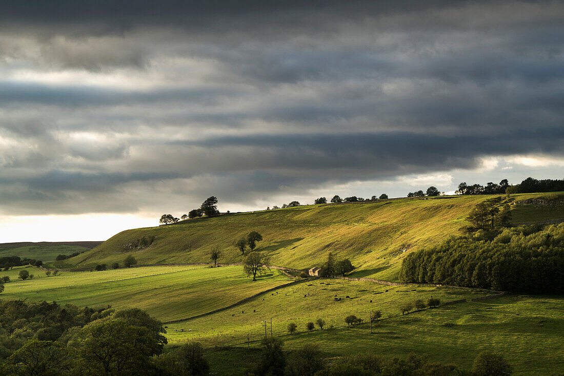 'Green fields on rolling hills under a cloudy sky; Yorkshire Dales, England'
