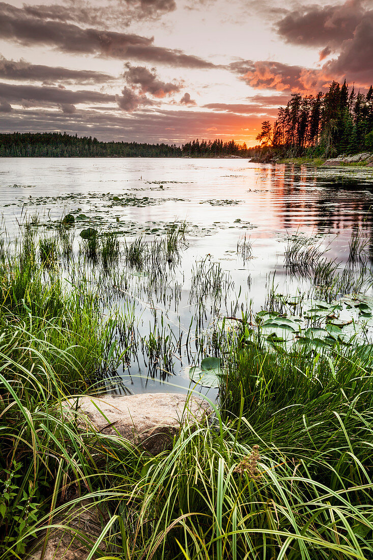 'Sunset over a pond; Thunder Bay, Ontario, Canada'