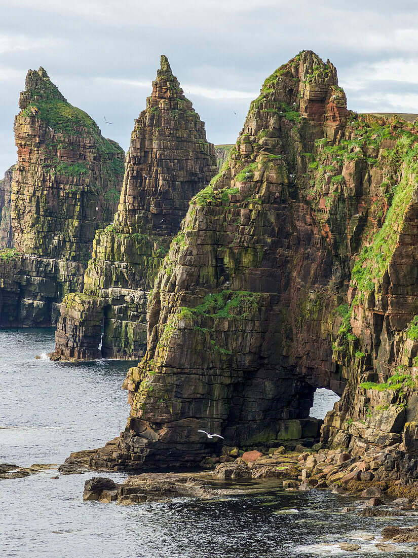 'Rugged peaked cliffs and a natural arch along the coastline; John O'Groats, Scotland'