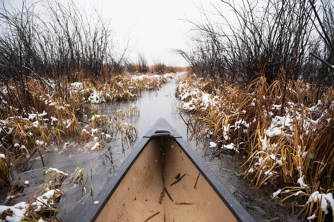 'The bow of a canoe paddling through tall reeds in winter mist; Cumberland House, Saskatchewan, Canada'