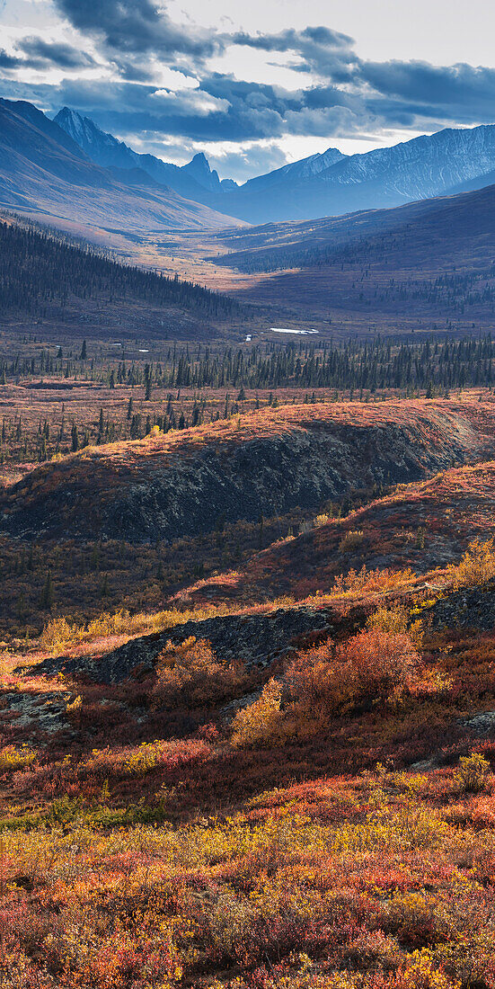 Scenic autumn view of mountains and colorful tundra in Tombstone Territorial Park, Yukon Territory, Canada