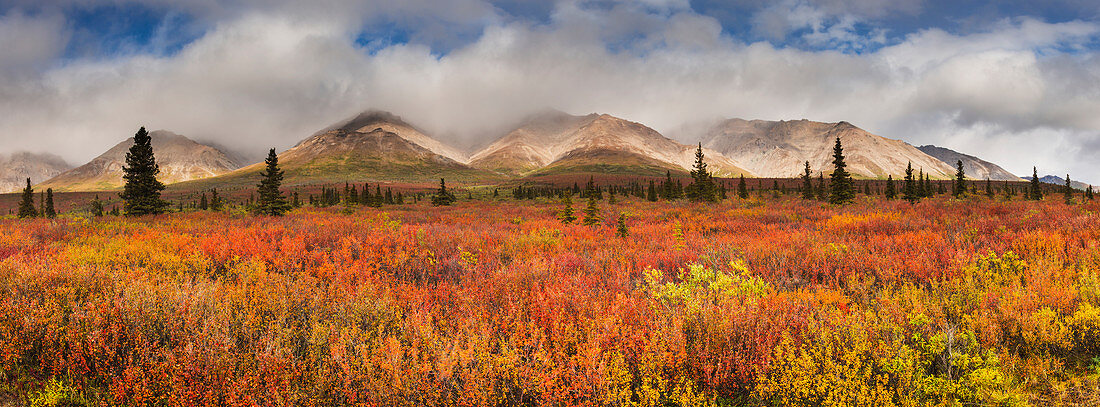 Scenic panorama of fog lifting on the Alaska Range, Denali National Park, Interior Alaska, Autumn