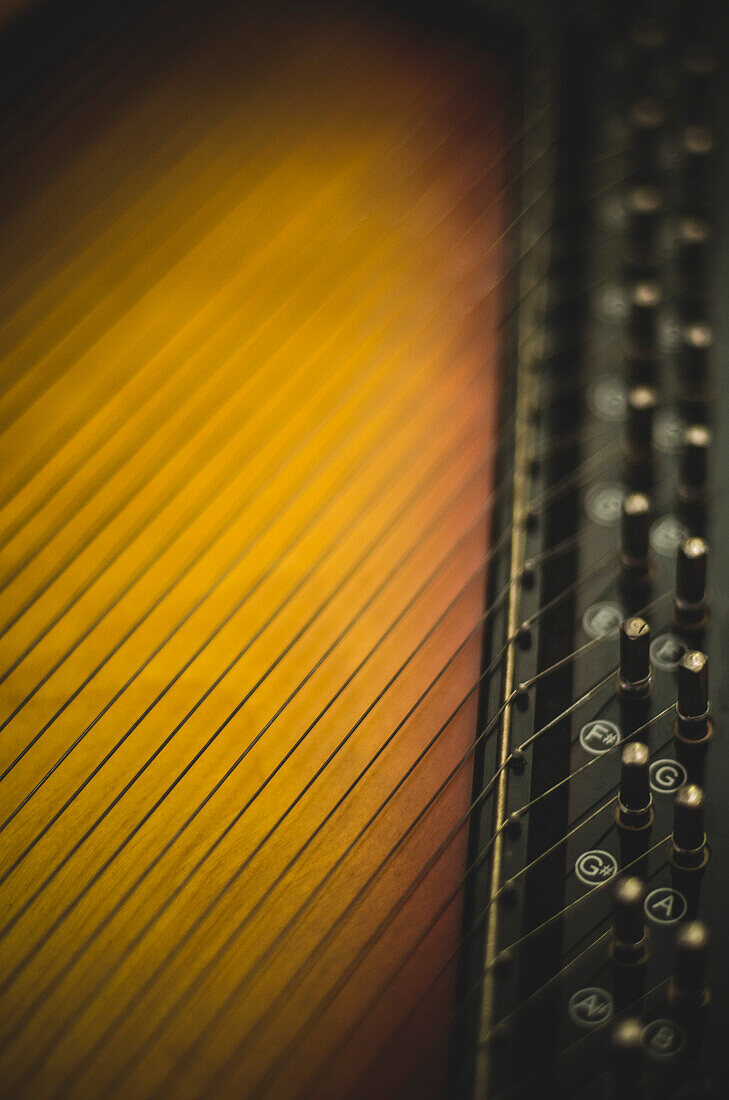 Close-up Abstract Detail of Autoharp