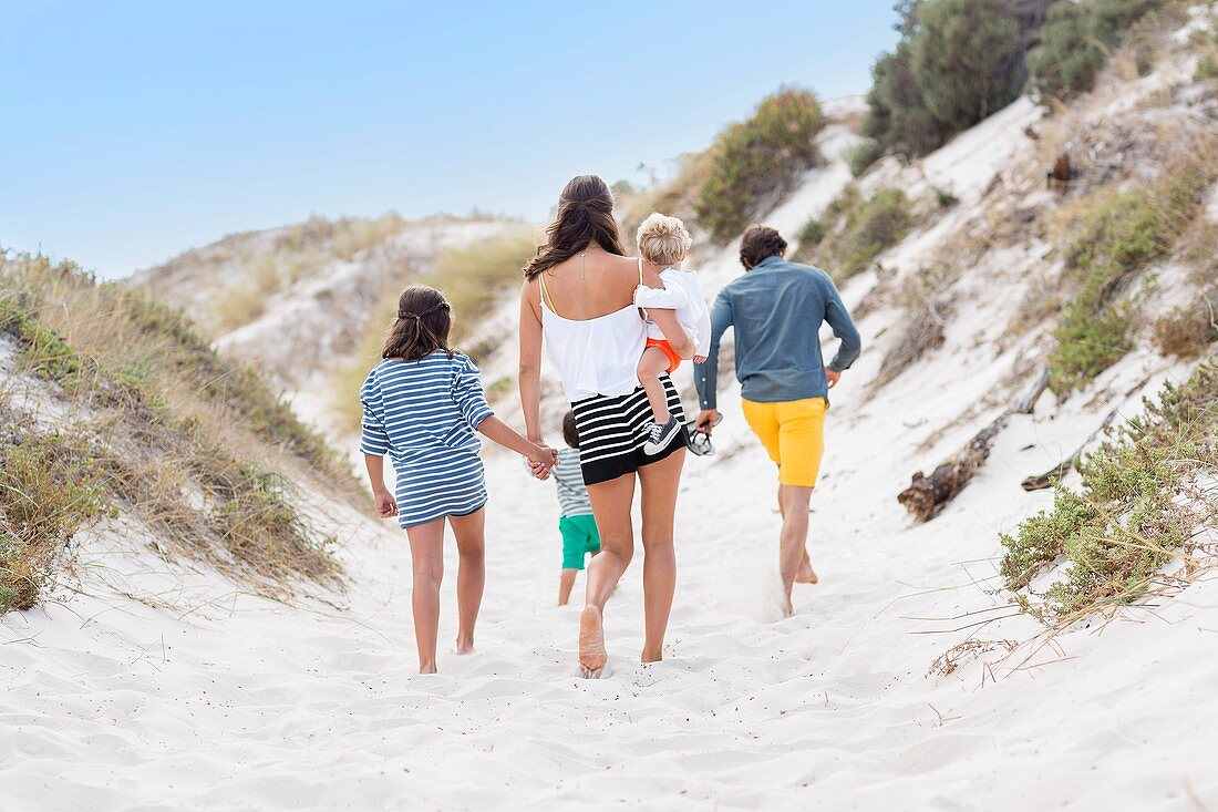 Rear view of a family walking on the beach