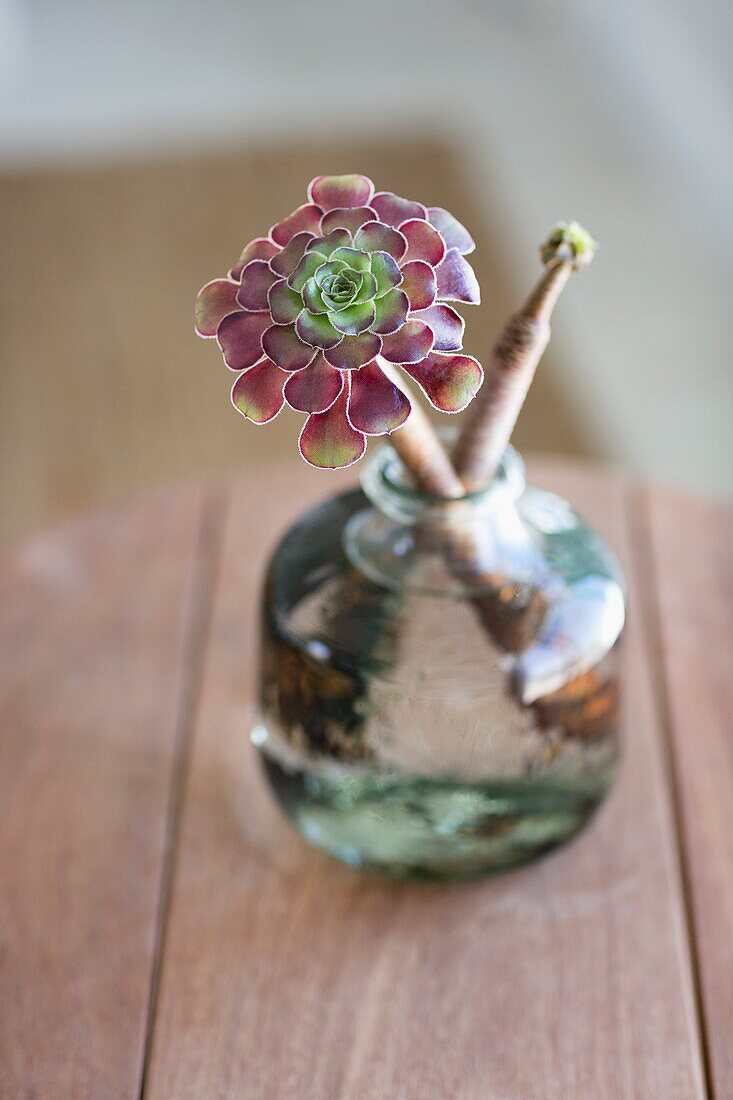 Close-up of a flower vase on a table