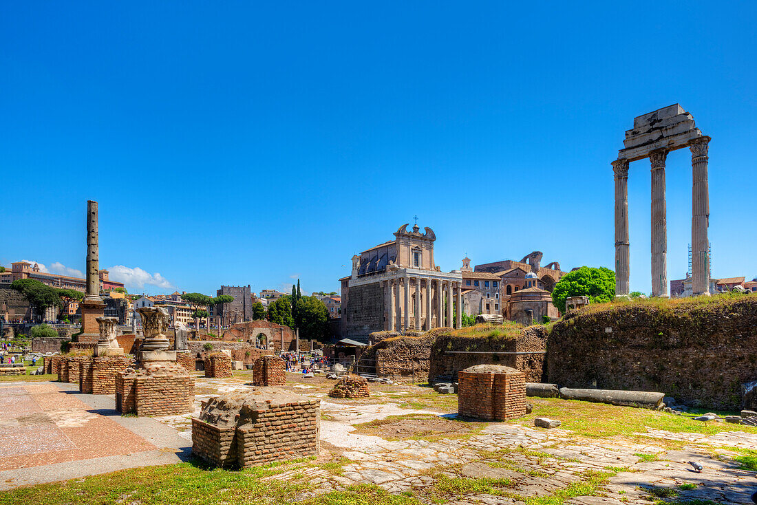 Tempel des Antonius und der Faustina,Tempel des Castor und des Pollux, Forum Romanum, Rom, Latium, Italien