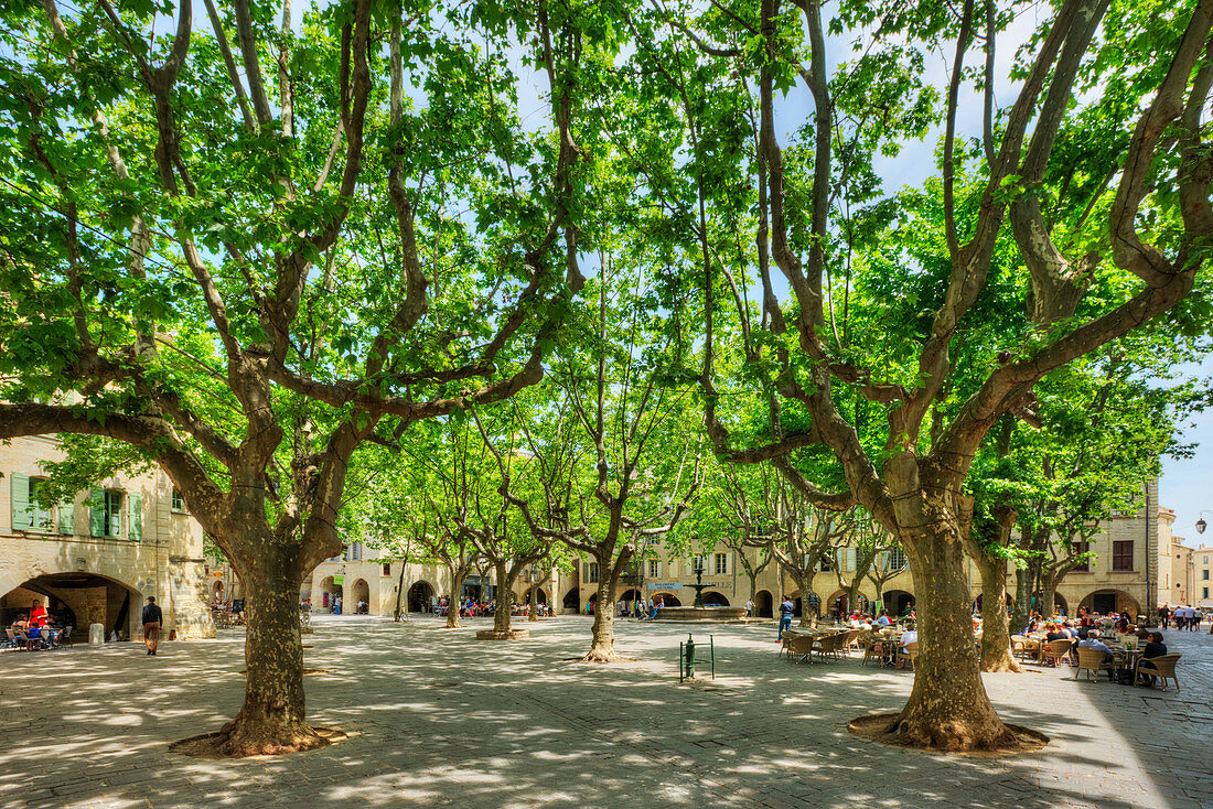 Aux Herbes place, Uzes, Gard, Languedoc-Roussillon, France