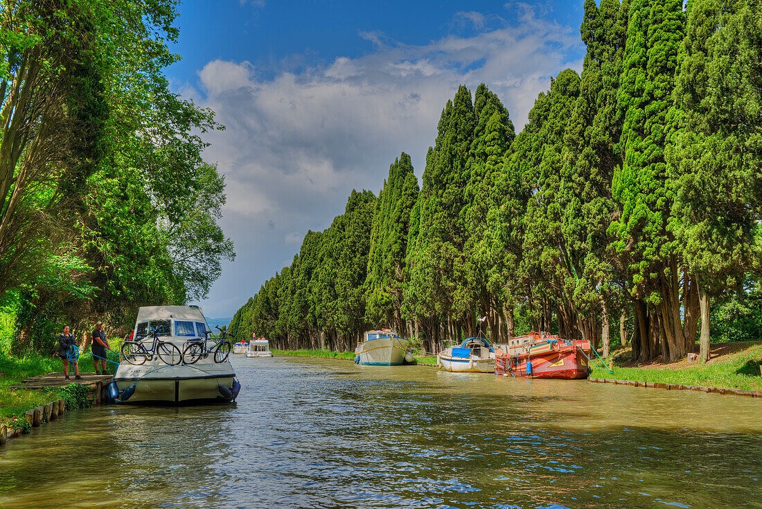 Canal du Midi, Carcassone, Aude, Languedoc-Roussillon, France