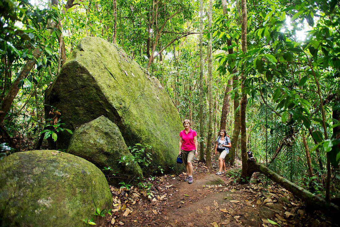 Tropical rainforest typifies the walks in the Mosman Gorge, Mosman Gorge, Queensland