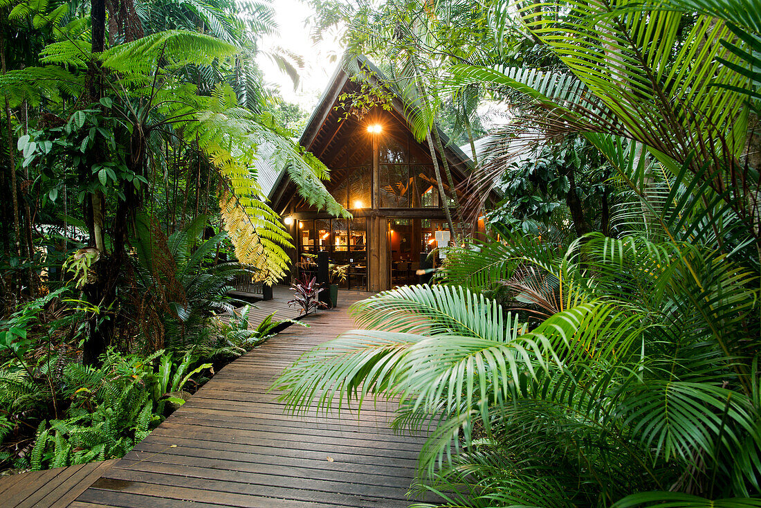 Die Ferntree Lodge am Cape Tribulation, Queensland, Australien